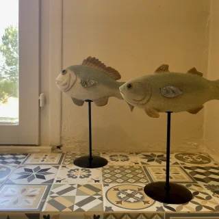 cuisine 3
