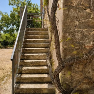 escalier5